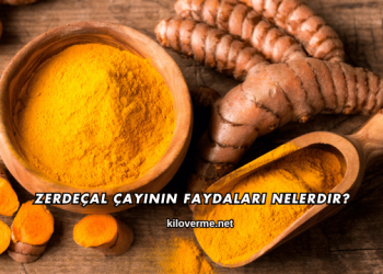 Zerdeçal Çayının Faydaları Nelerdir?