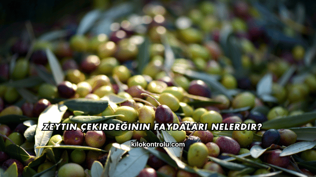 Zeytin Çekirdeğinin Faydaları Nelerdir?