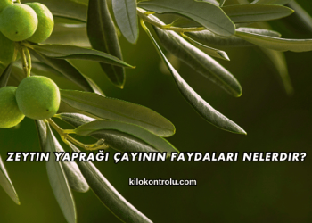 Zeytin Yaprağı Çayının Faydaları Nelerdir?