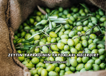 Zeytin Yaprağının Faydaları Nelerdir?
