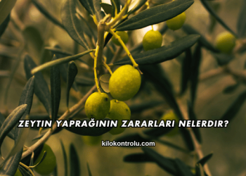 Zeytin Yaprağının Zararları Nelerdir?