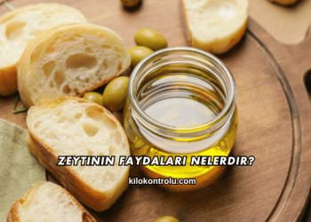 Zeytinin Faydaları Nelerdir?